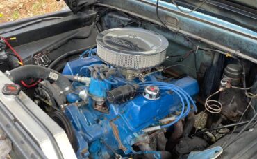 Ford-F250-1966-blue-2