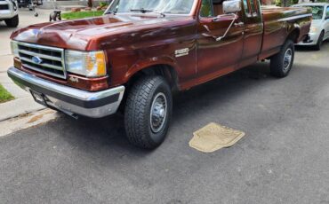 Ford-F250-4x4-1991-brown-1