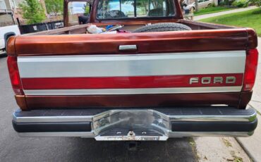 Ford-F250-4x4-1991-brown-2