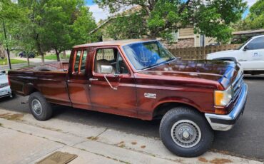 Ford-F250-4x4-1991-brown-3