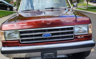 Ford-F250-4x4-1991-brown