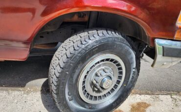Ford-F250-4x4-1991-brown-4