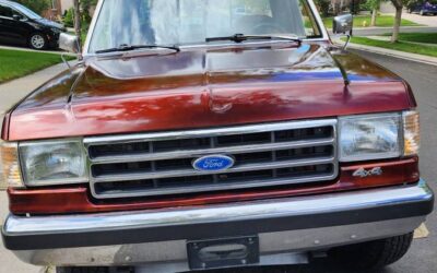 Ford F250 4x4  1991 brown