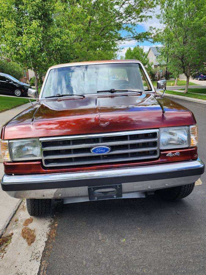 Ford-F250-4x4-1991-brown