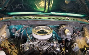 Ford-F250-high-boy-1977-green-8