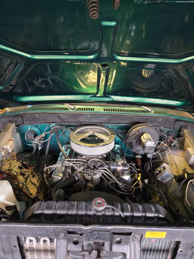 Ford-F250-high-boy-1977-green-8