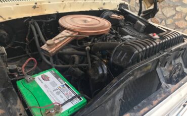 Ford-F250-xlt-ranger-1979-custom-6