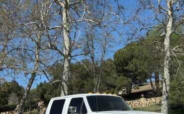 Ford-F350-4x4-diesel-1994-white-13