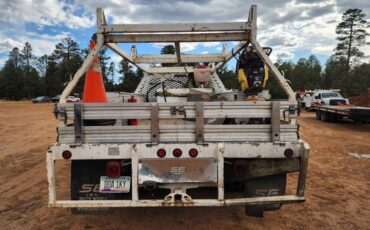 Ford-F450-diesel-2015-7