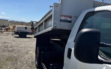 Ford-F550-dump-bed-truck-1991-white-8