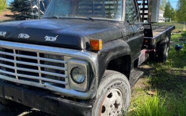 Ford-F600-1976-2