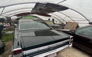 Ford-Fairlane-1967-Coupe-3