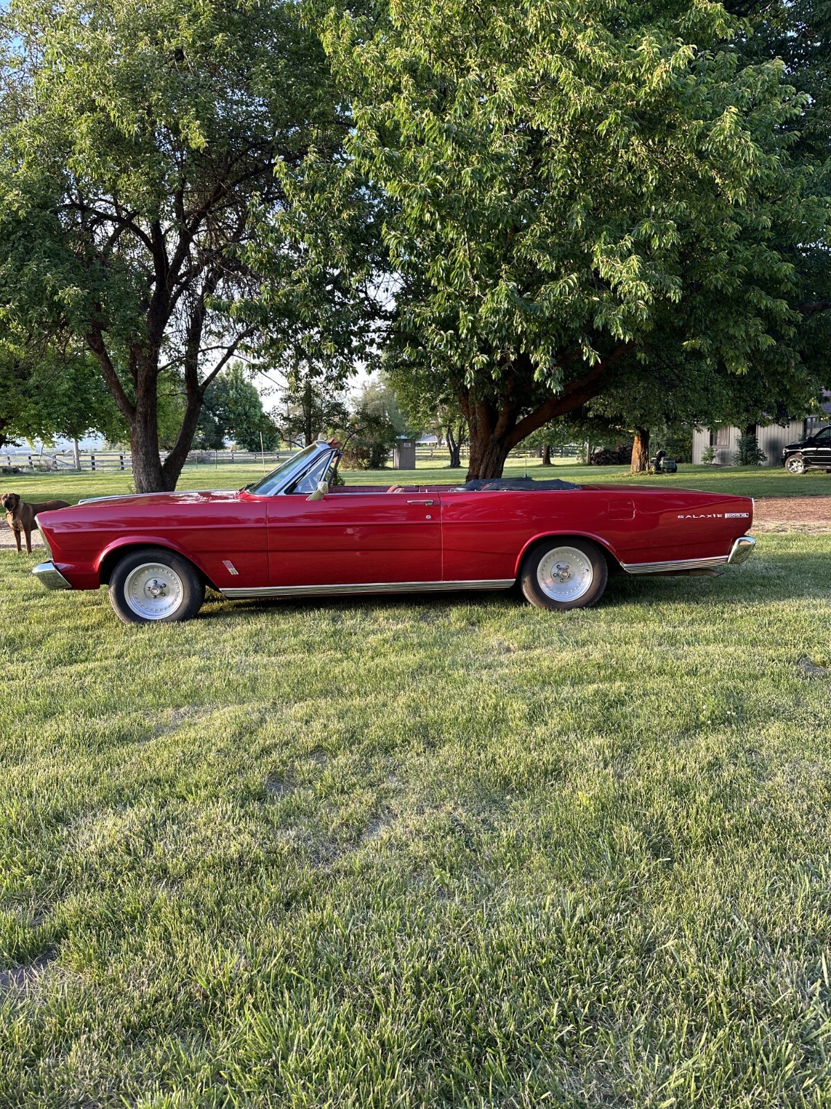 Ford Galaxie 1966 Convertible