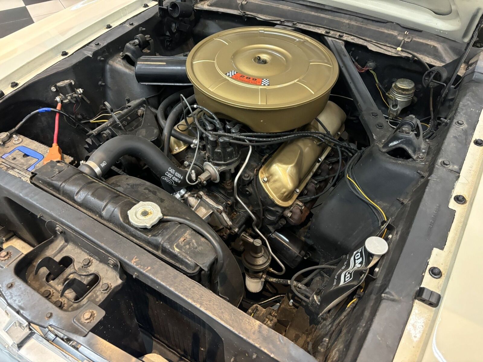 Ford-Mustang-1964-10