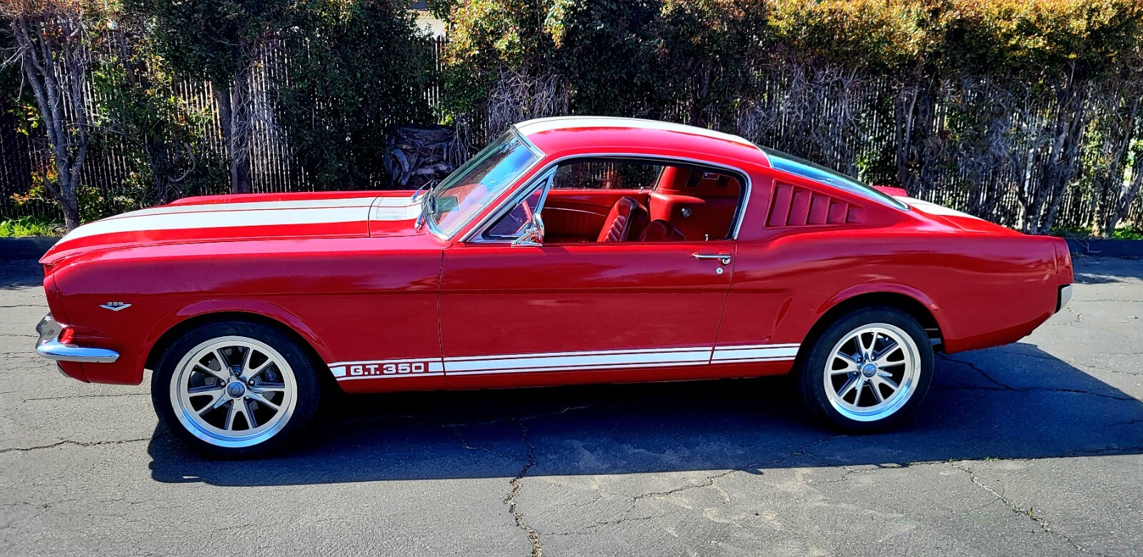 Ford-Mustang-1965-Fastback-2