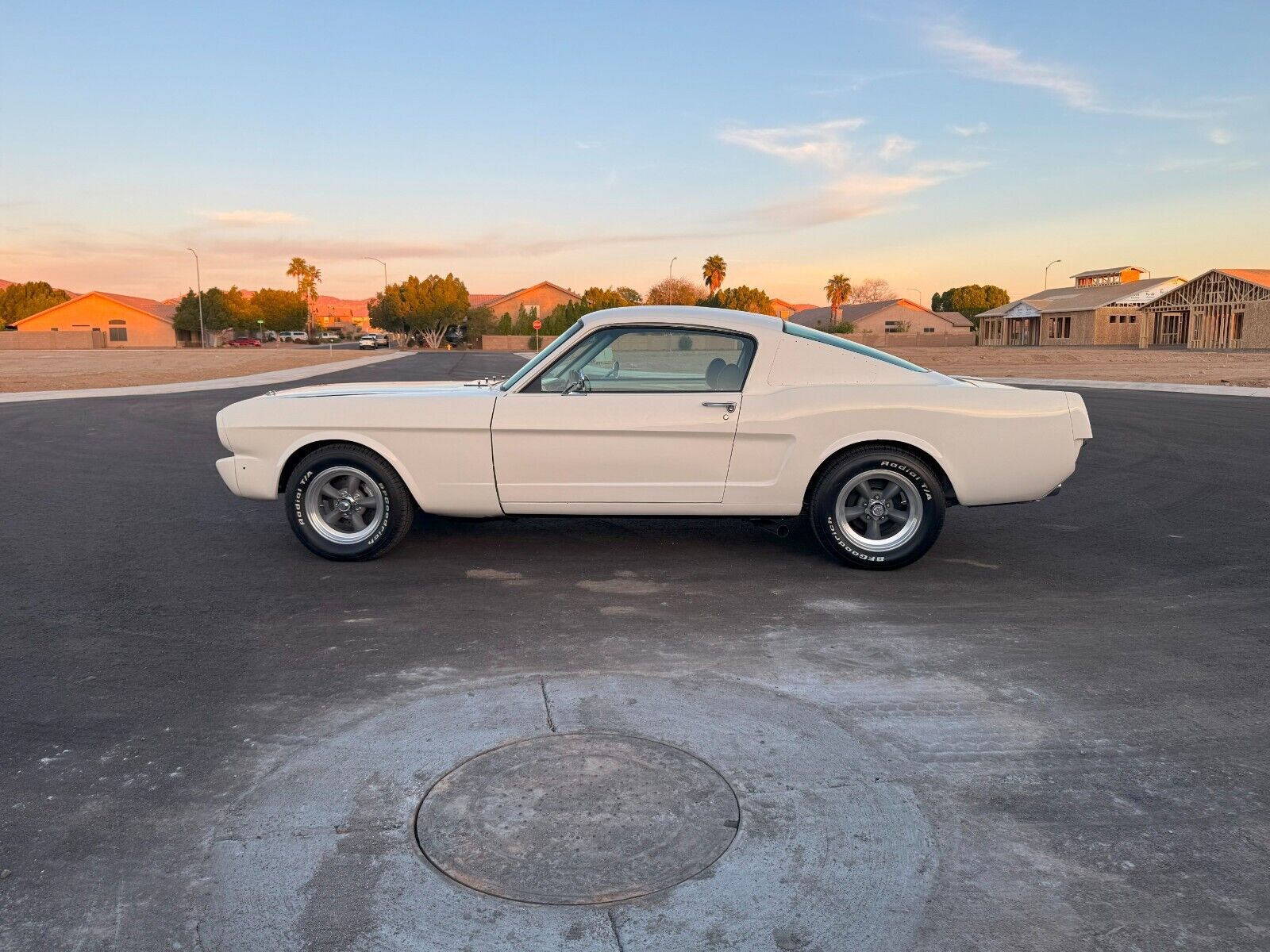 Ford-Mustang-1965-Fastback-24