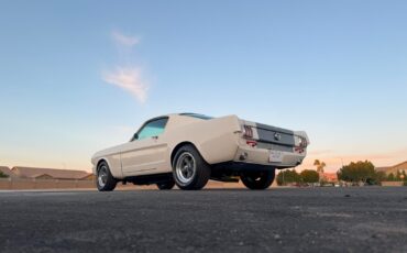 Ford-Mustang-1965-Fastback-30