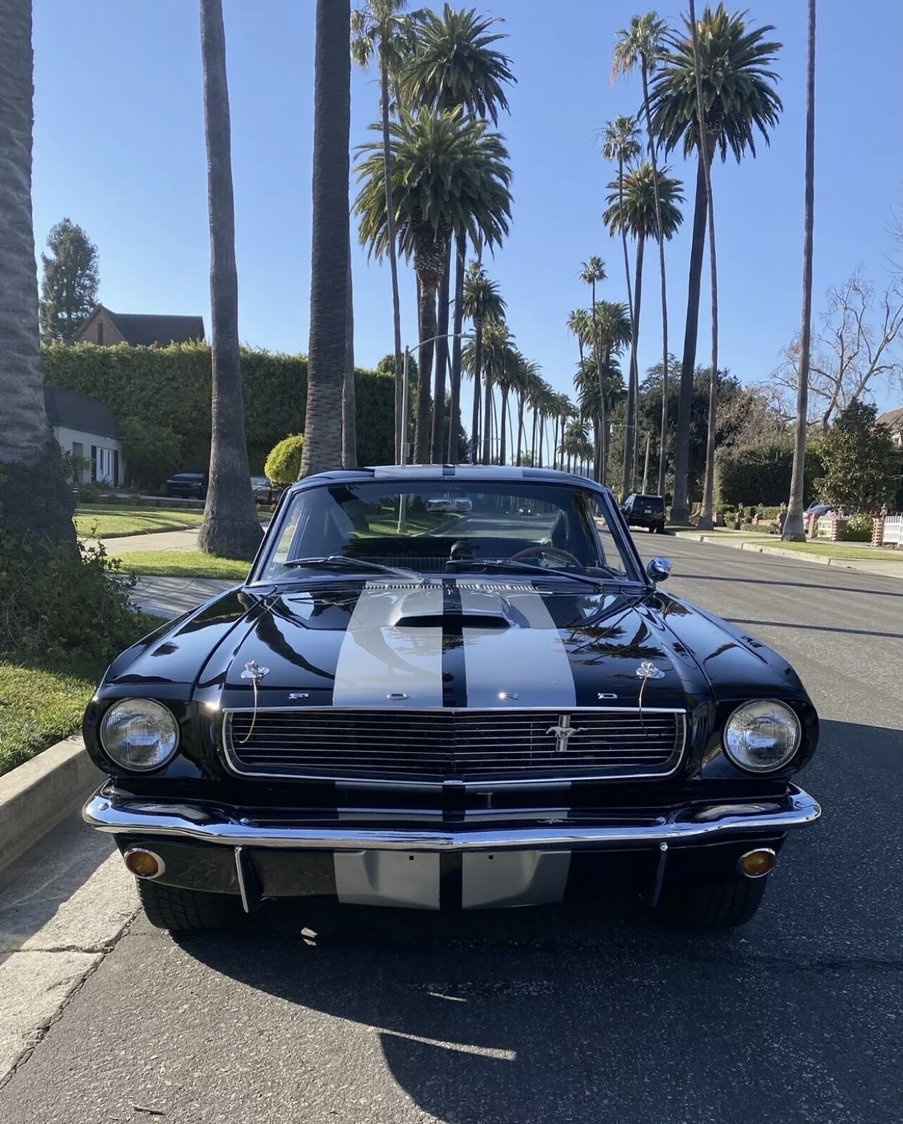 Ford-Mustang-1966-2