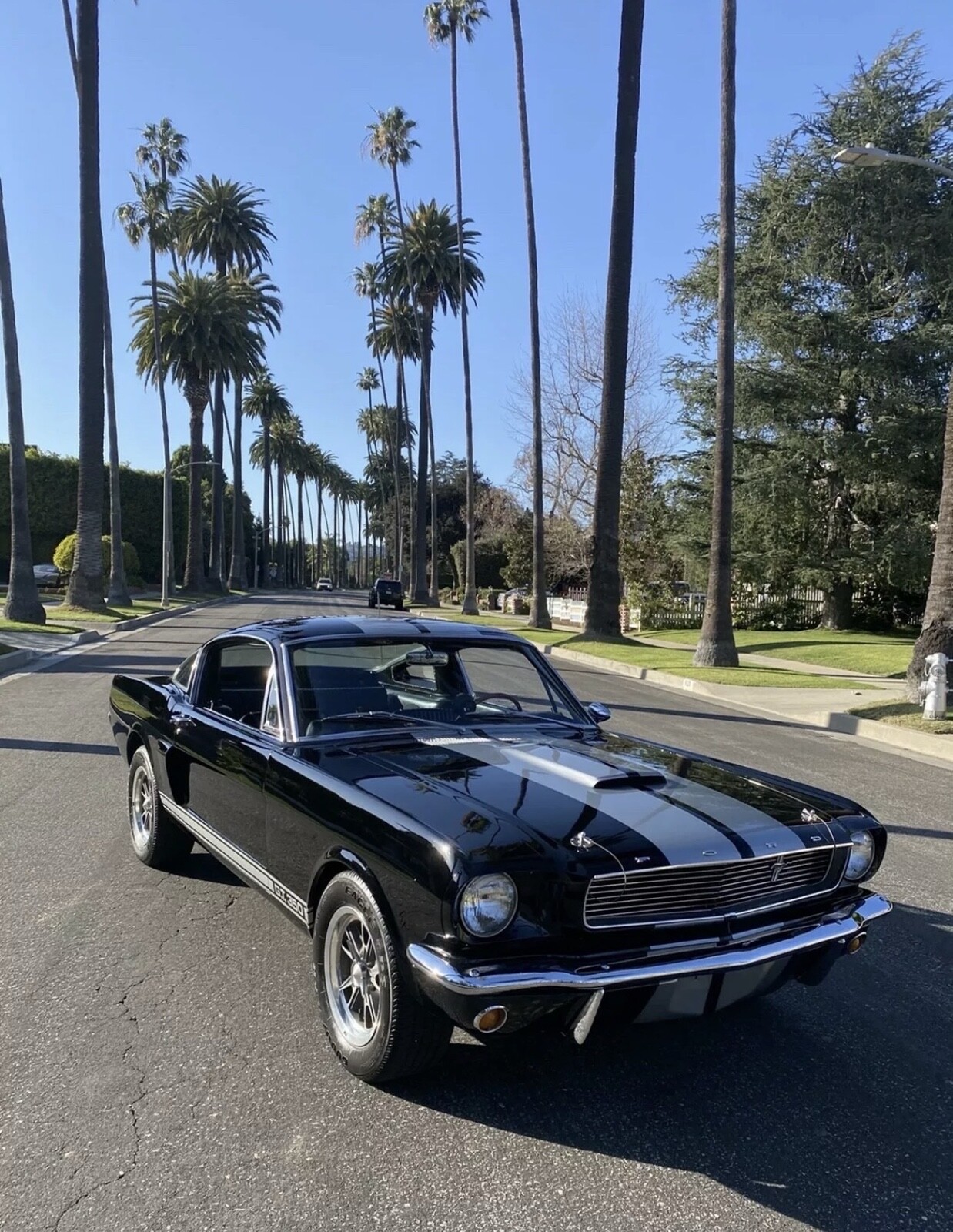 Ford-Mustang-1966-3