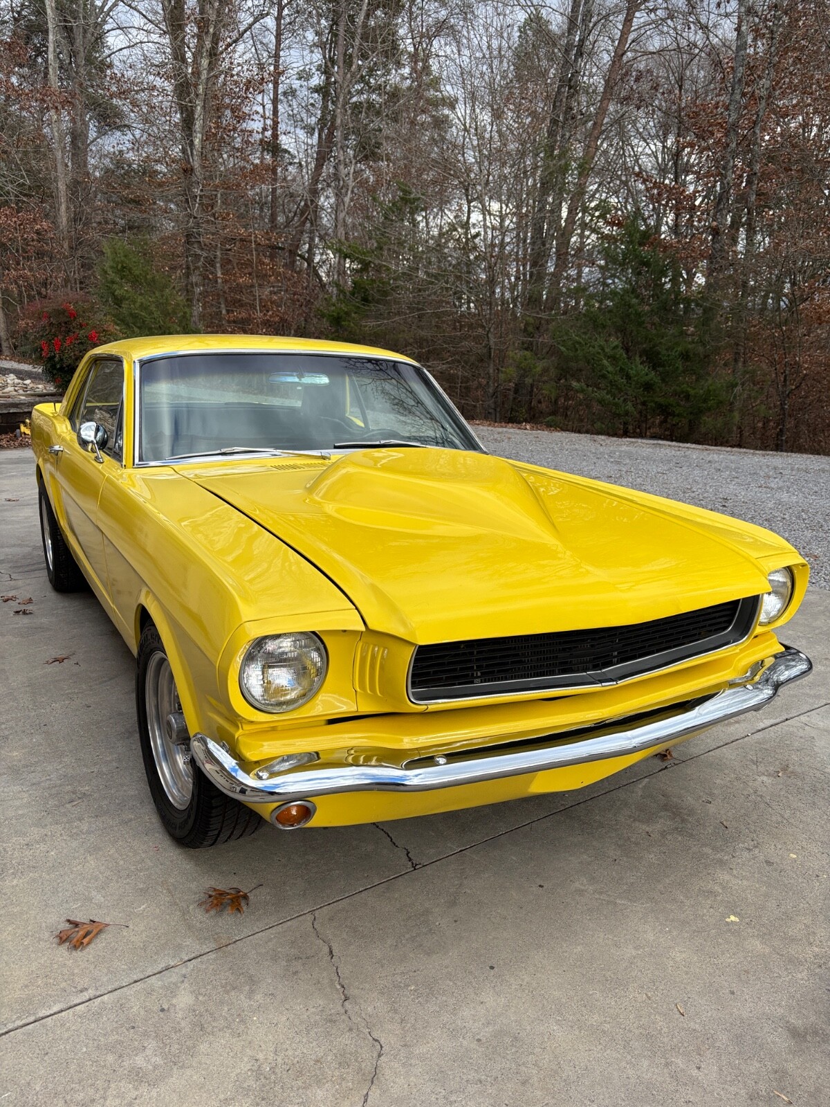 Ford-Mustang-1966-Coupe-7