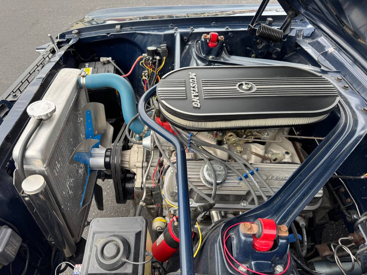Ford-Mustang-1966-blue-15