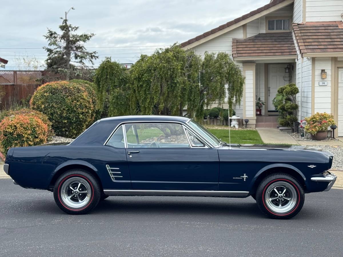 Ford-Mustang-1966-blue-19