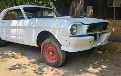 Ford Mustang  1966 grey