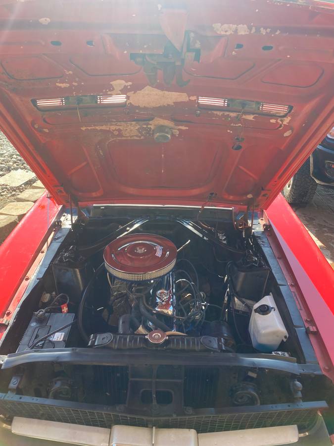 Ford-Mustang-1967-red-7