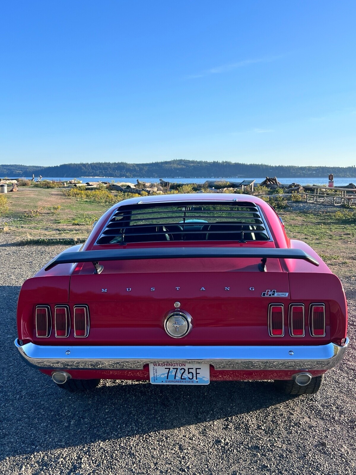 Ford-Mustang-1969-Fastback-13
