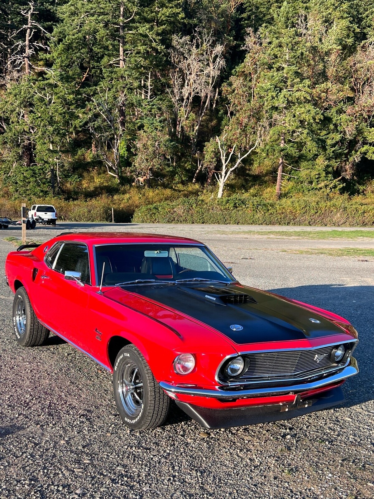 Ford-Mustang-1969-Fastback-14
