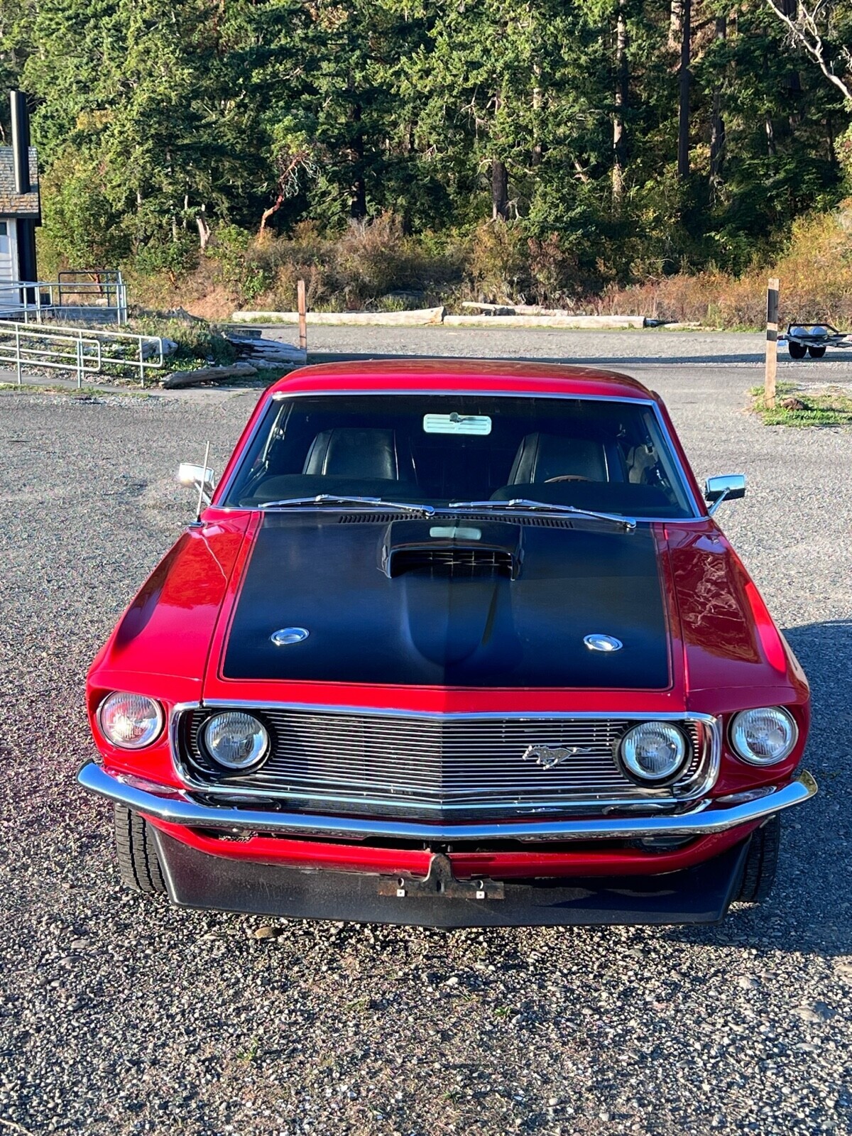 Ford-Mustang-1969-Fastback-15
