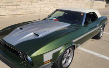 Ford-Mustang-1973-2-dr-2