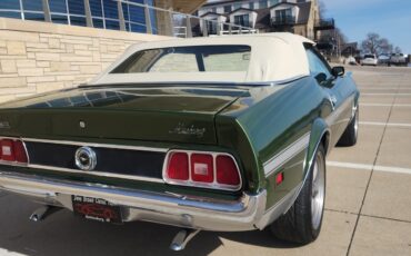 Ford-Mustang-1973-2-dr-8