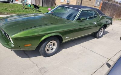 Ford Mustang  1973 green