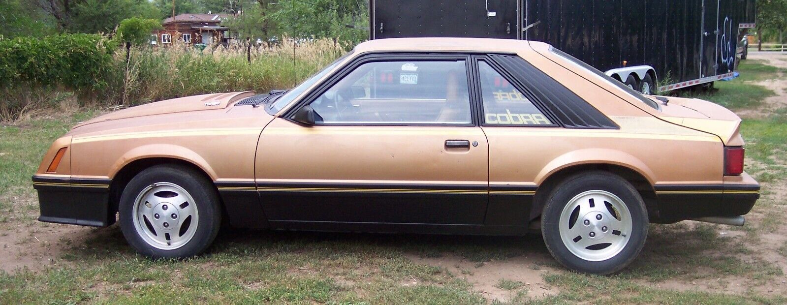 Ford-Mustang-1980-Cobra-Hatchback-1