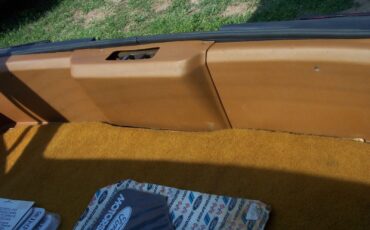 Ford-Mustang-1980-Cobra-Hatchback-10