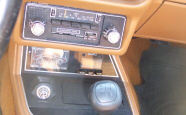 Ford-Mustang-1980-Cobra-Hatchback-14