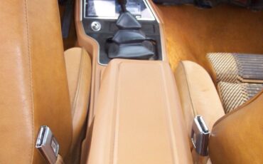 Ford-Mustang-1980-Cobra-Hatchback-15