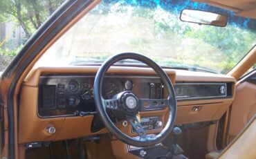 Ford-Mustang-1980-Cobra-Hatchback-16