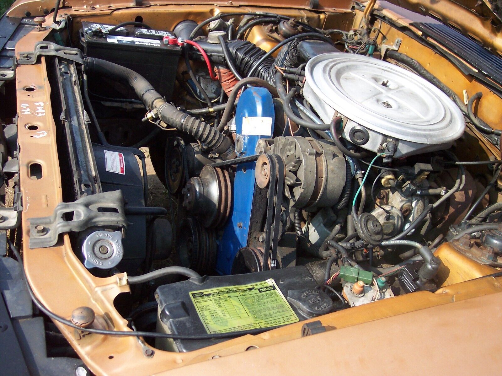 Ford-Mustang-1980-Cobra-Hatchback-17