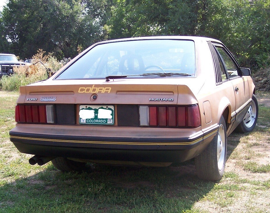 Ford-Mustang-1980-Cobra-Hatchback-2