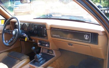 Ford-Mustang-1980-Cobra-Hatchback-21