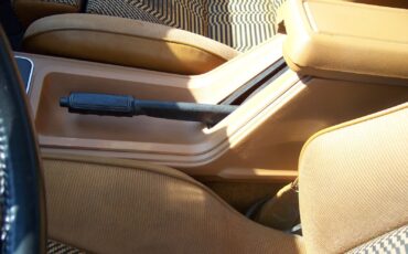 Ford-Mustang-1980-Cobra-Hatchback-22