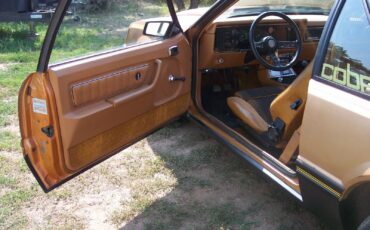 Ford-Mustang-1980-Cobra-Hatchback-23