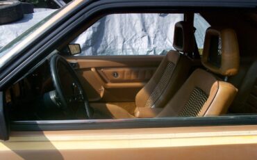 Ford-Mustang-1980-Cobra-Hatchback-25