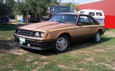 Ford-Mustang-1980-Cobra-Hatchback-3