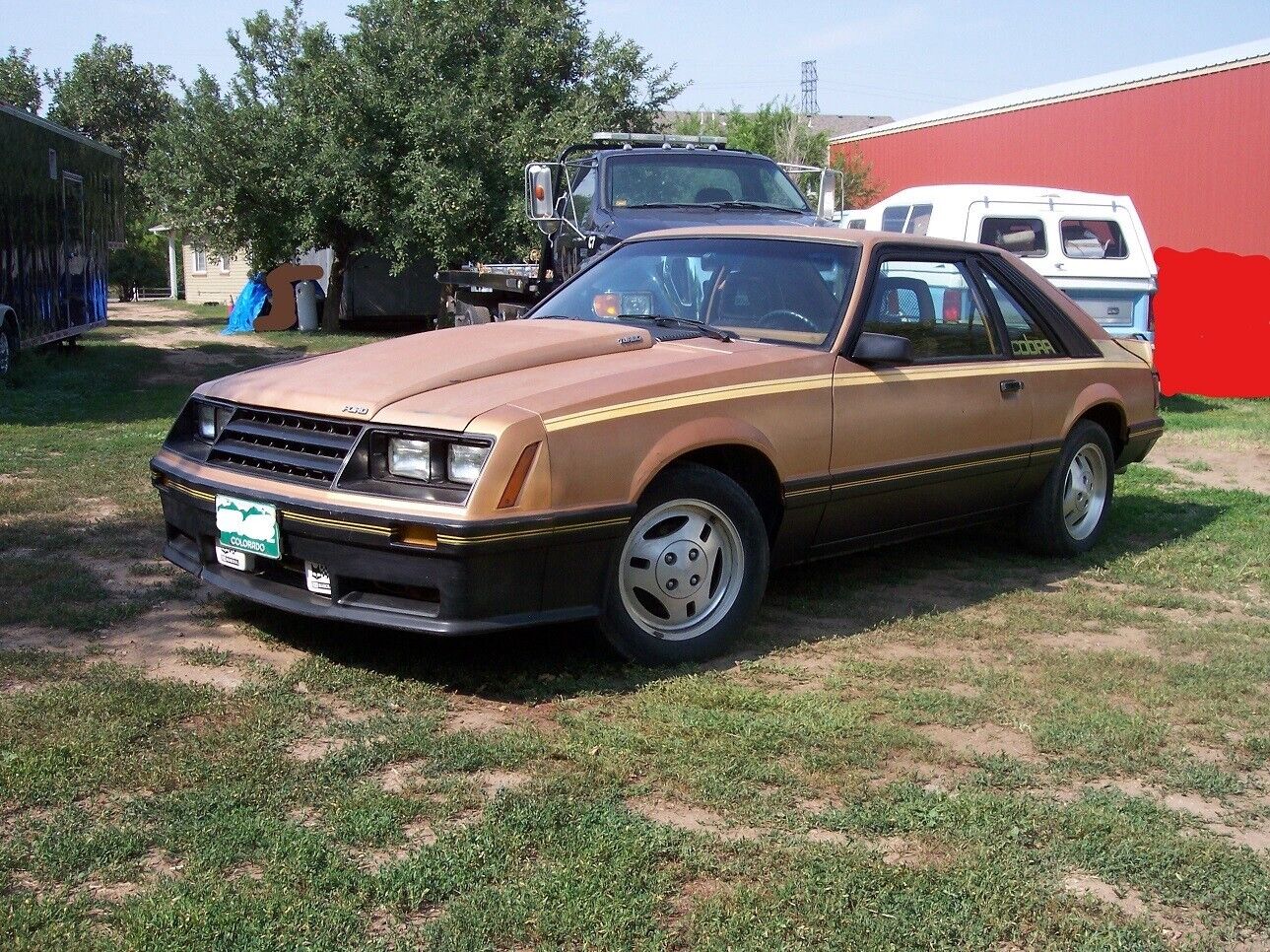 Ford-Mustang-1980-Cobra-Hatchback-3