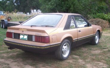 Ford-Mustang-1980-Cobra-Hatchback-4