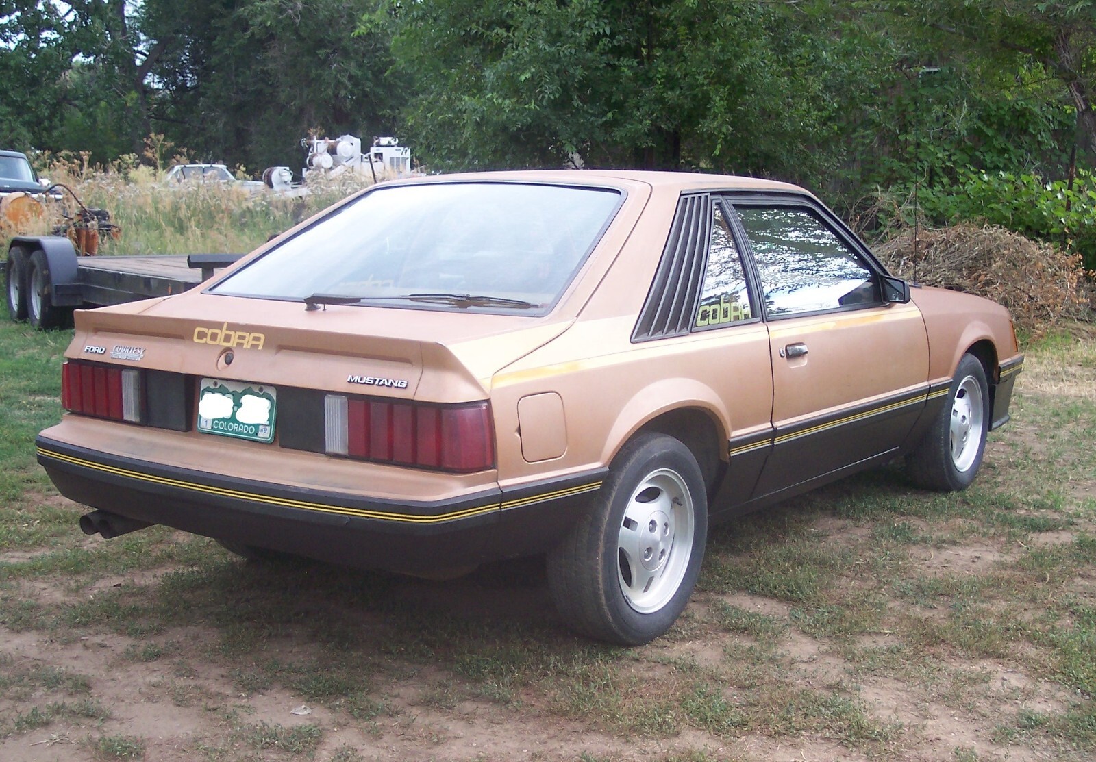 Ford-Mustang-1980-Cobra-Hatchback-4