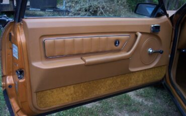 Ford-Mustang-1980-Cobra-Hatchback-5